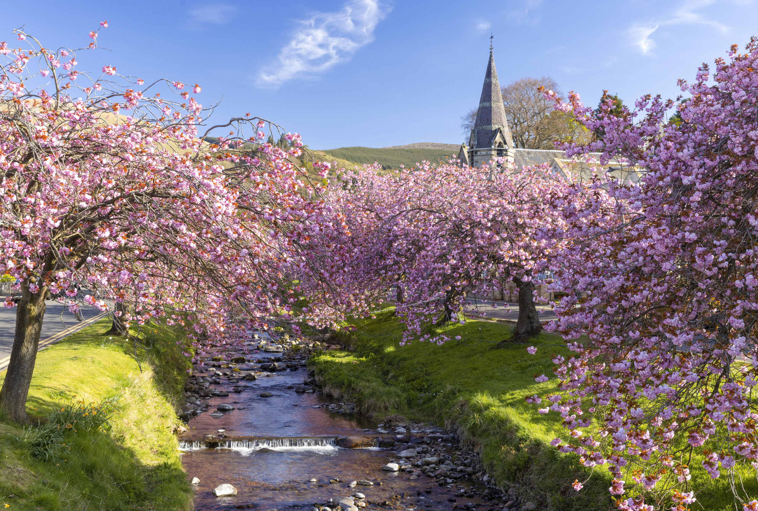 L'Écosse au printemps