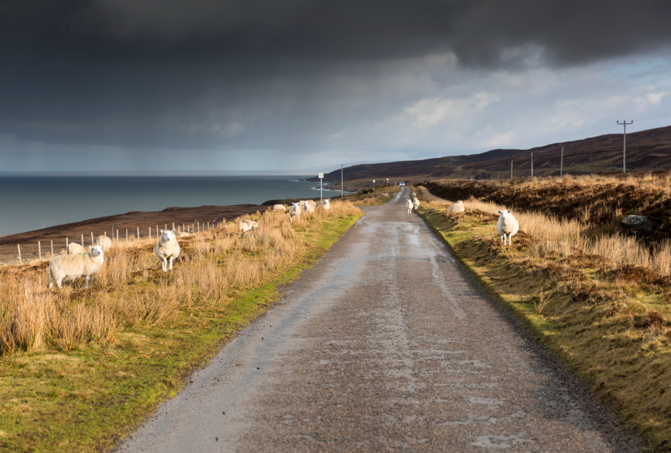 Péninsule d'Applecross en Ecosse