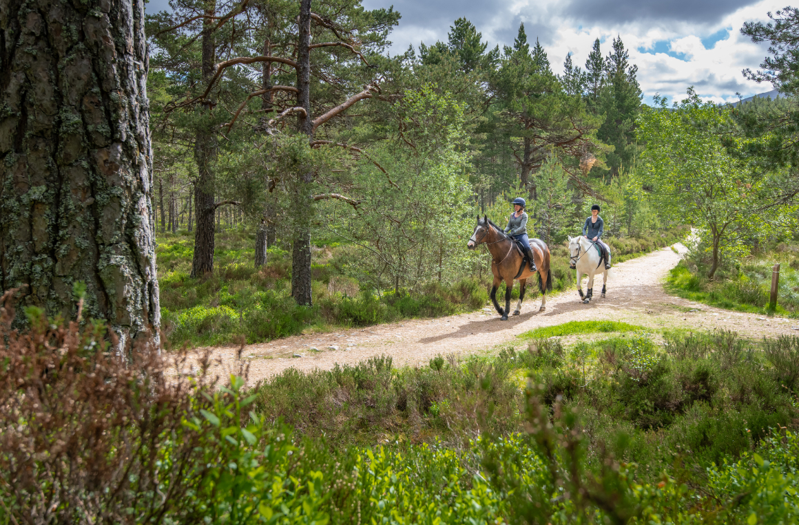 Balade équestre dans les Trossachs