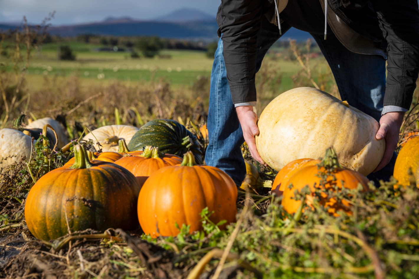 Halloween en Ecosse