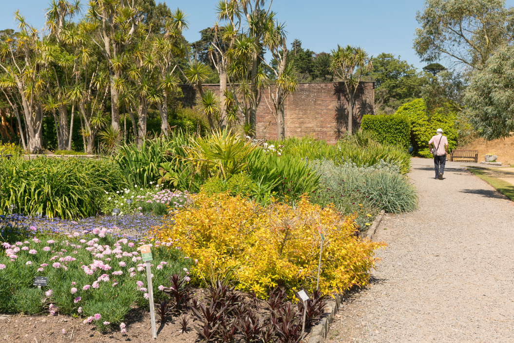 Logan Botanic Garden en Ecosse