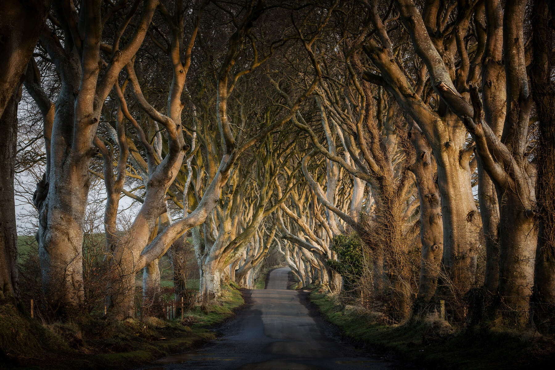 Game of Thrones en Irlande du Nord, Dark Hedges