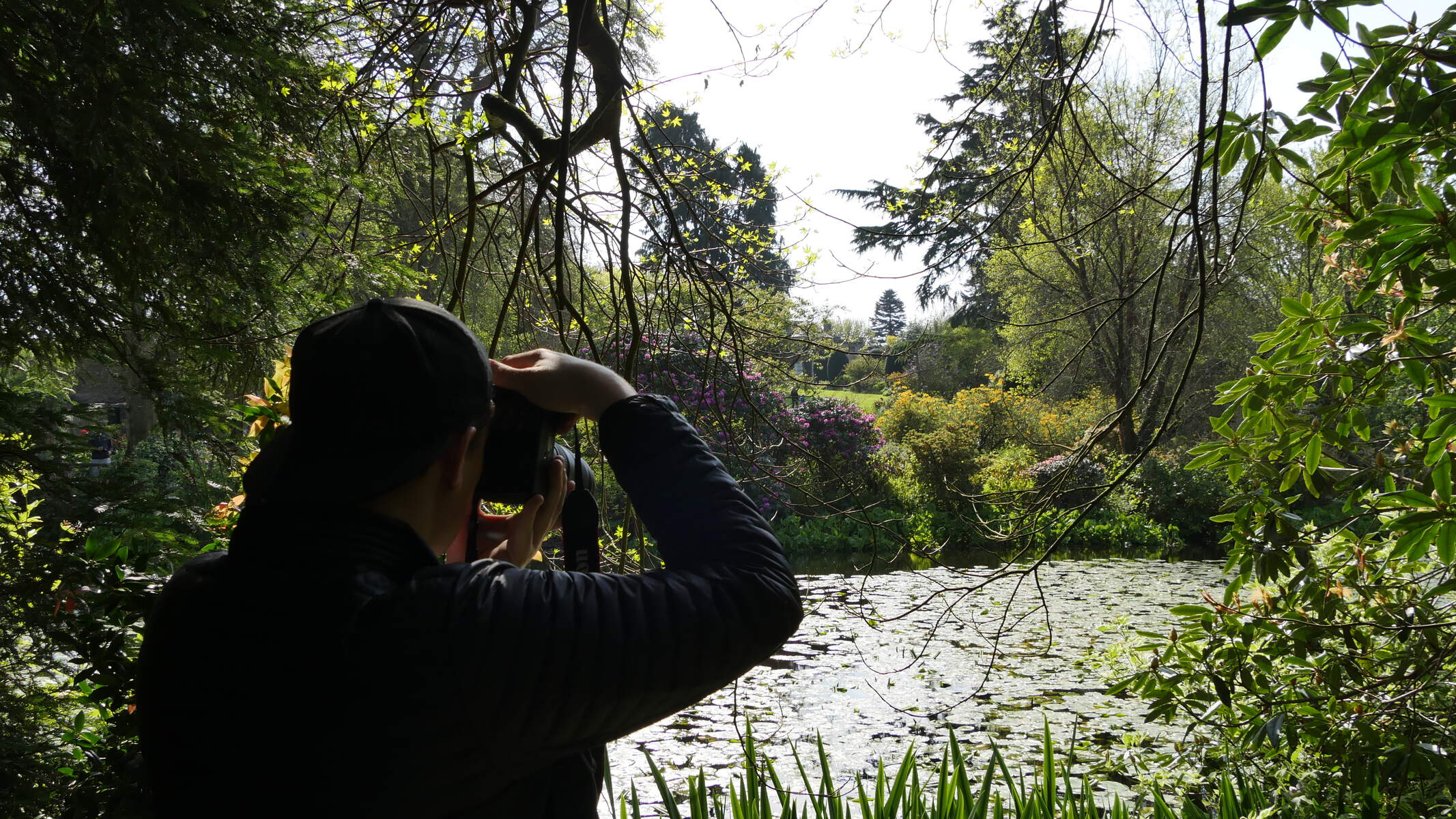 Appareil photo, Jardins d'Altamont en Irlande dans le Carlow