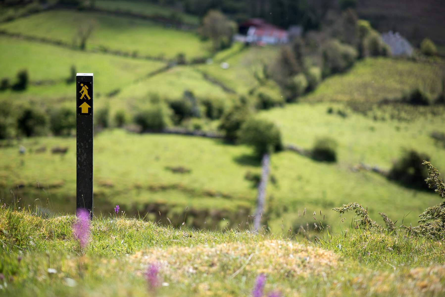 Randonnée dans le Cavan, West Walking Trail, Irlande