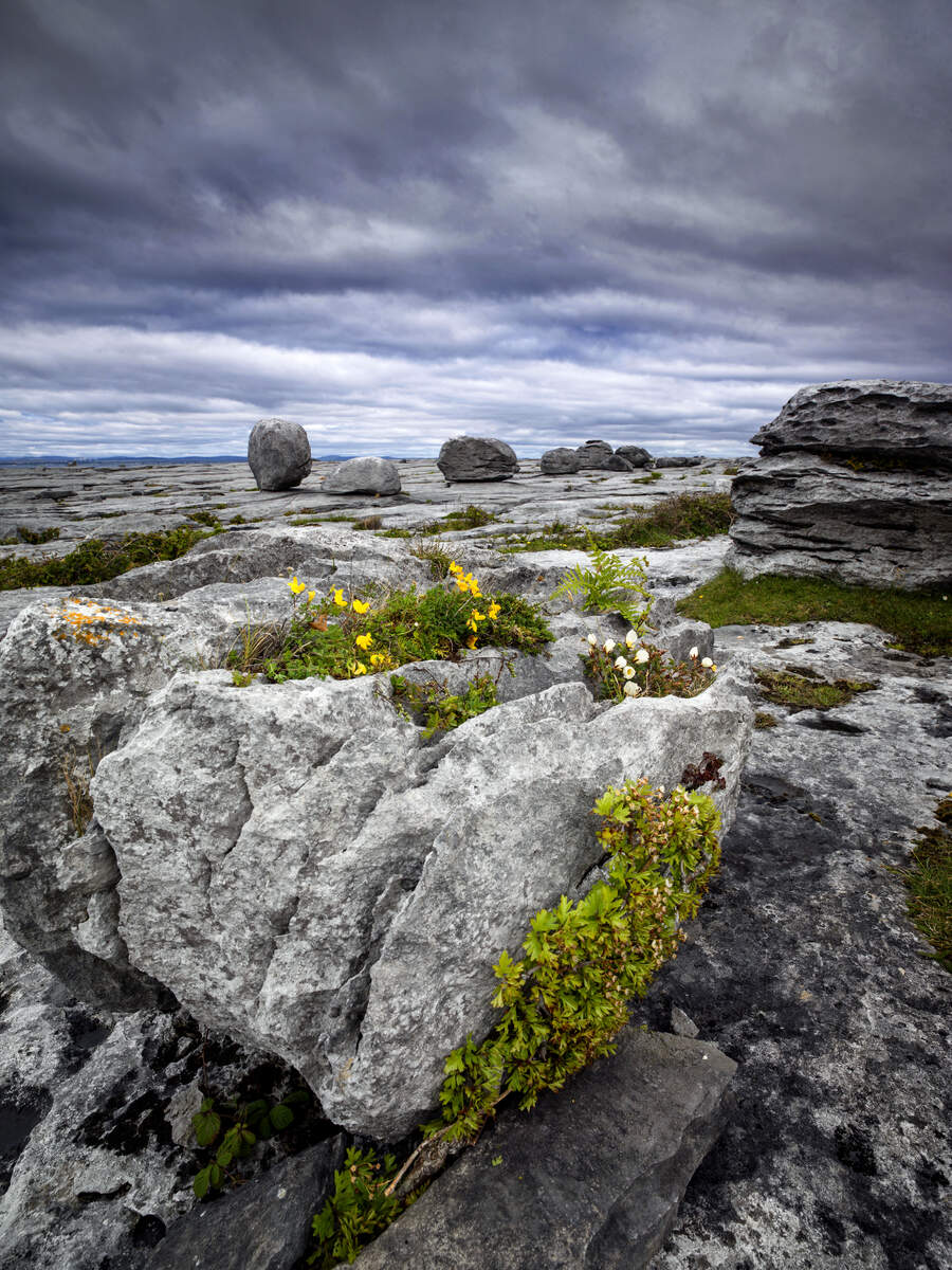 Le Burren en Irlande