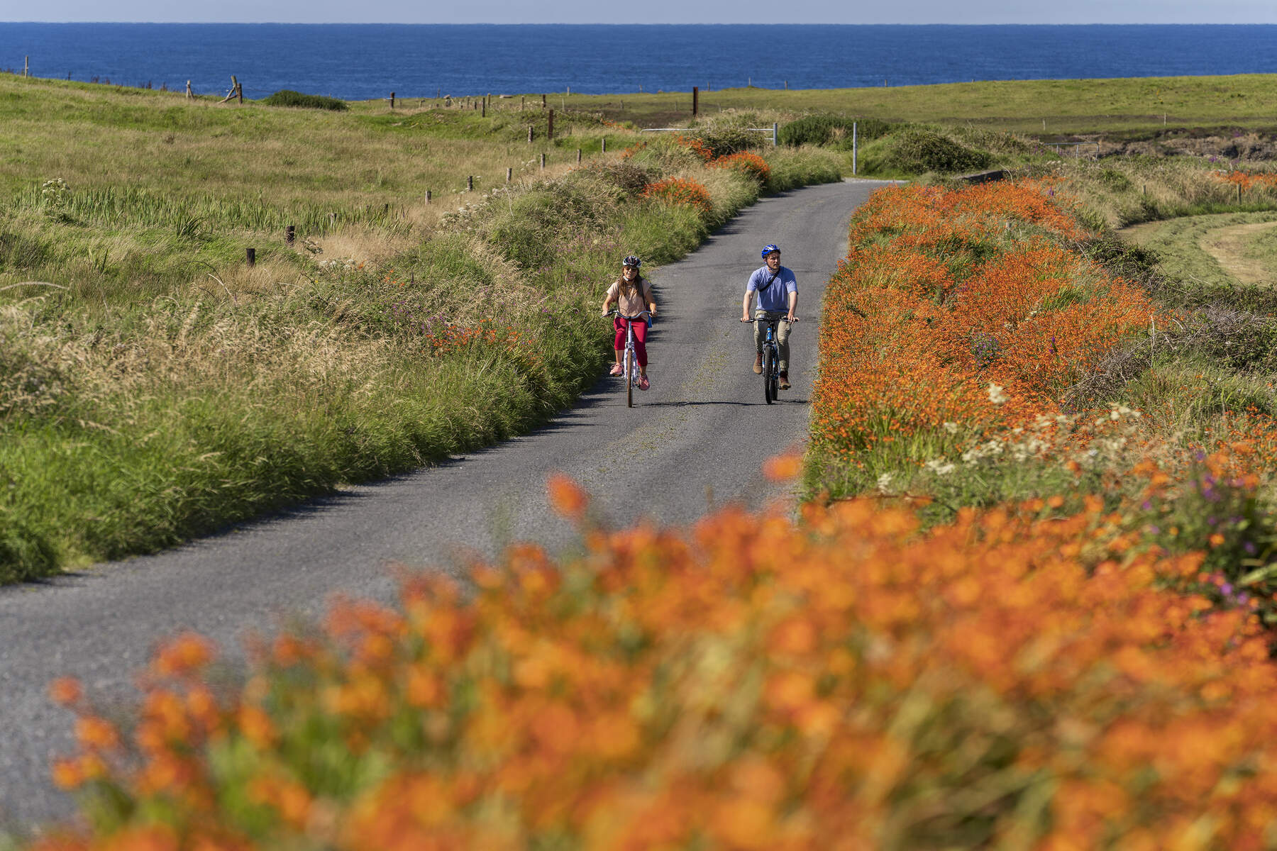 Faire du vélo sur Loop Head dans le comté de Clare