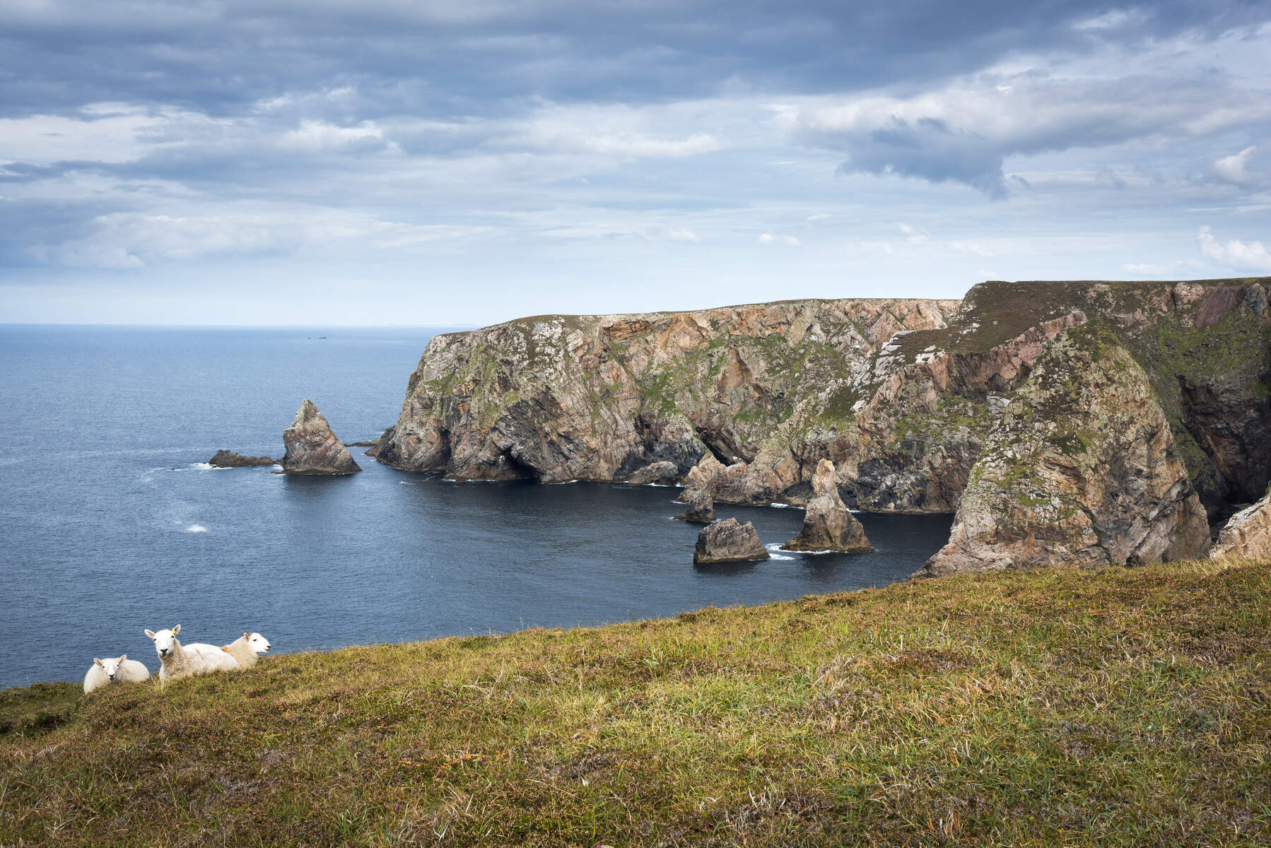 Arranmore dans le Donegal