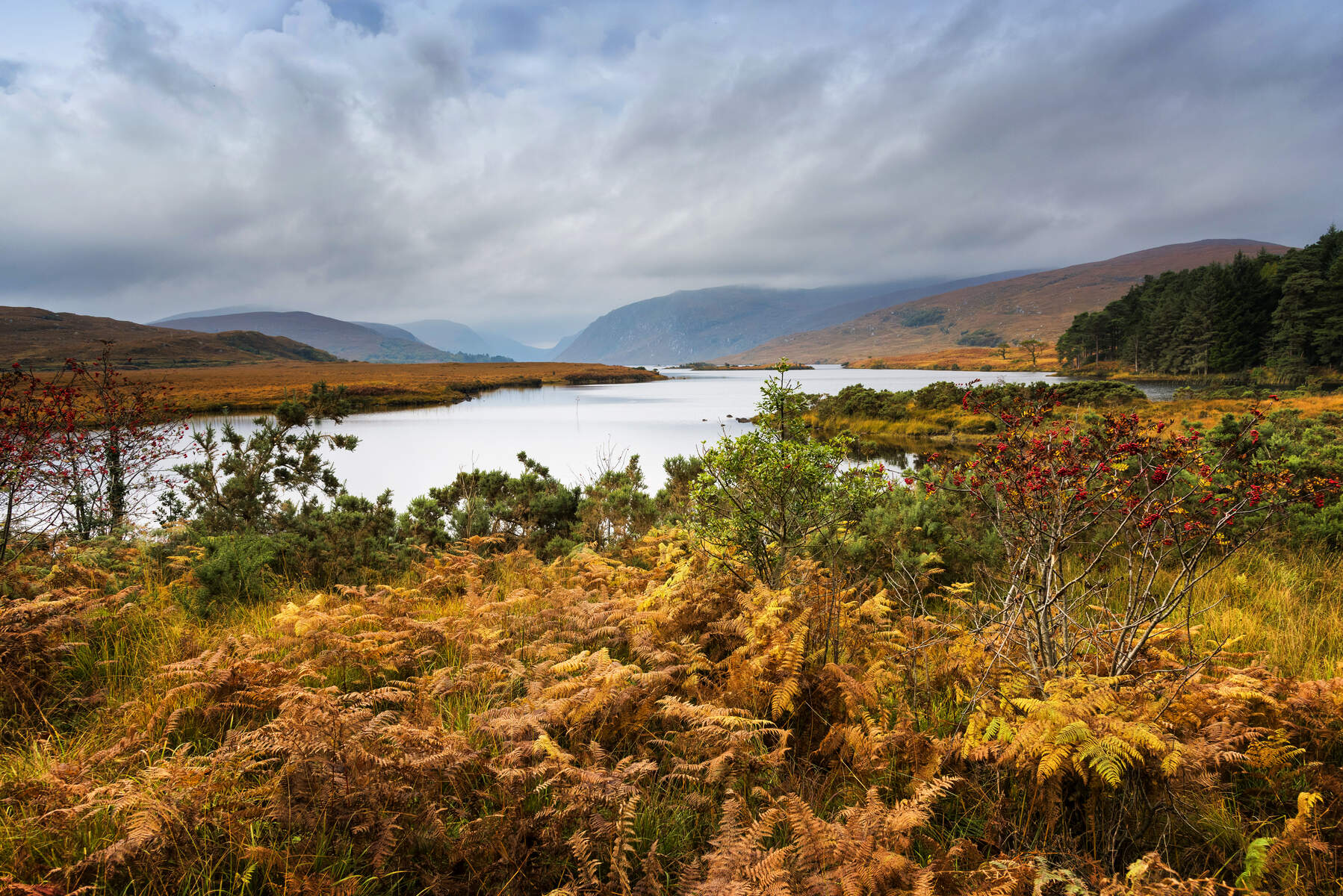 Glenveagh National Park dans le comté de Donegal