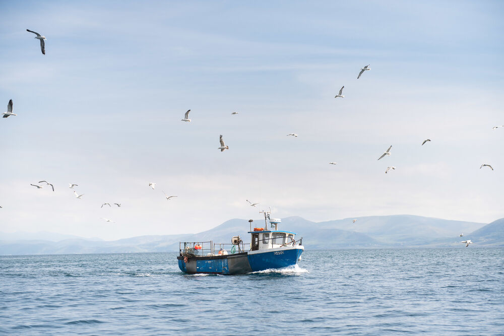 Pêche en mer dans le Connemara