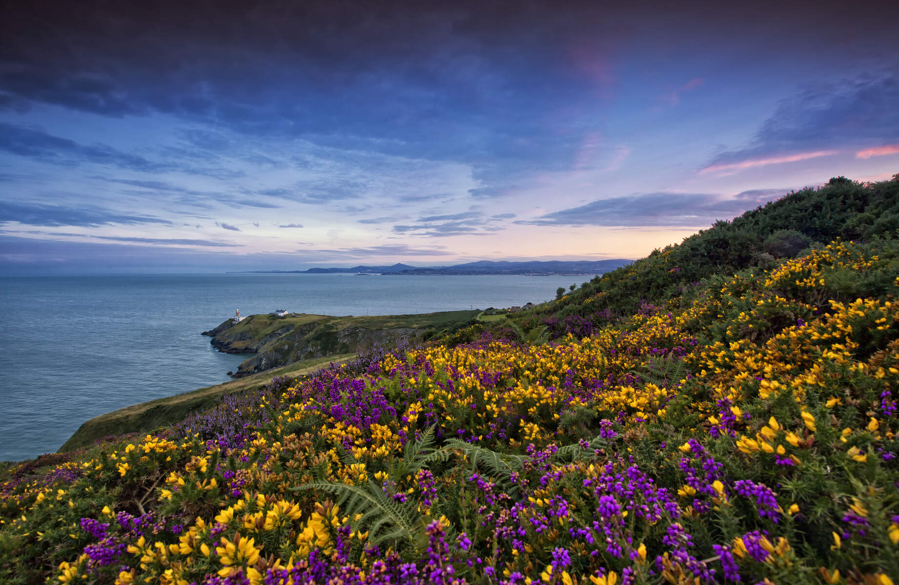 Péninsule d'Howth dans le comté de Dublin, en Irlande