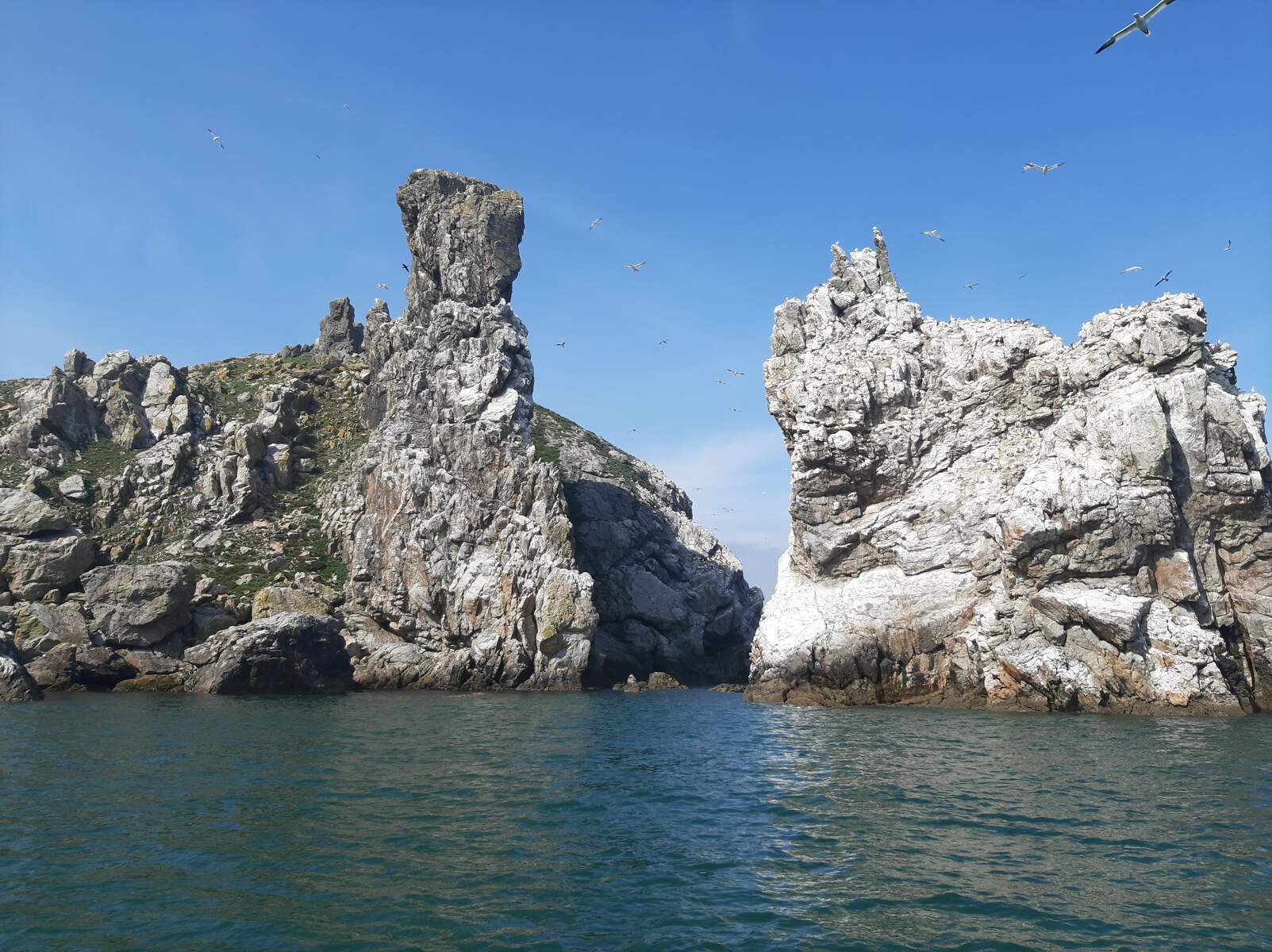 L'île D'Ireland Eye, près de Howth dans la comté de Dublin en Irlande