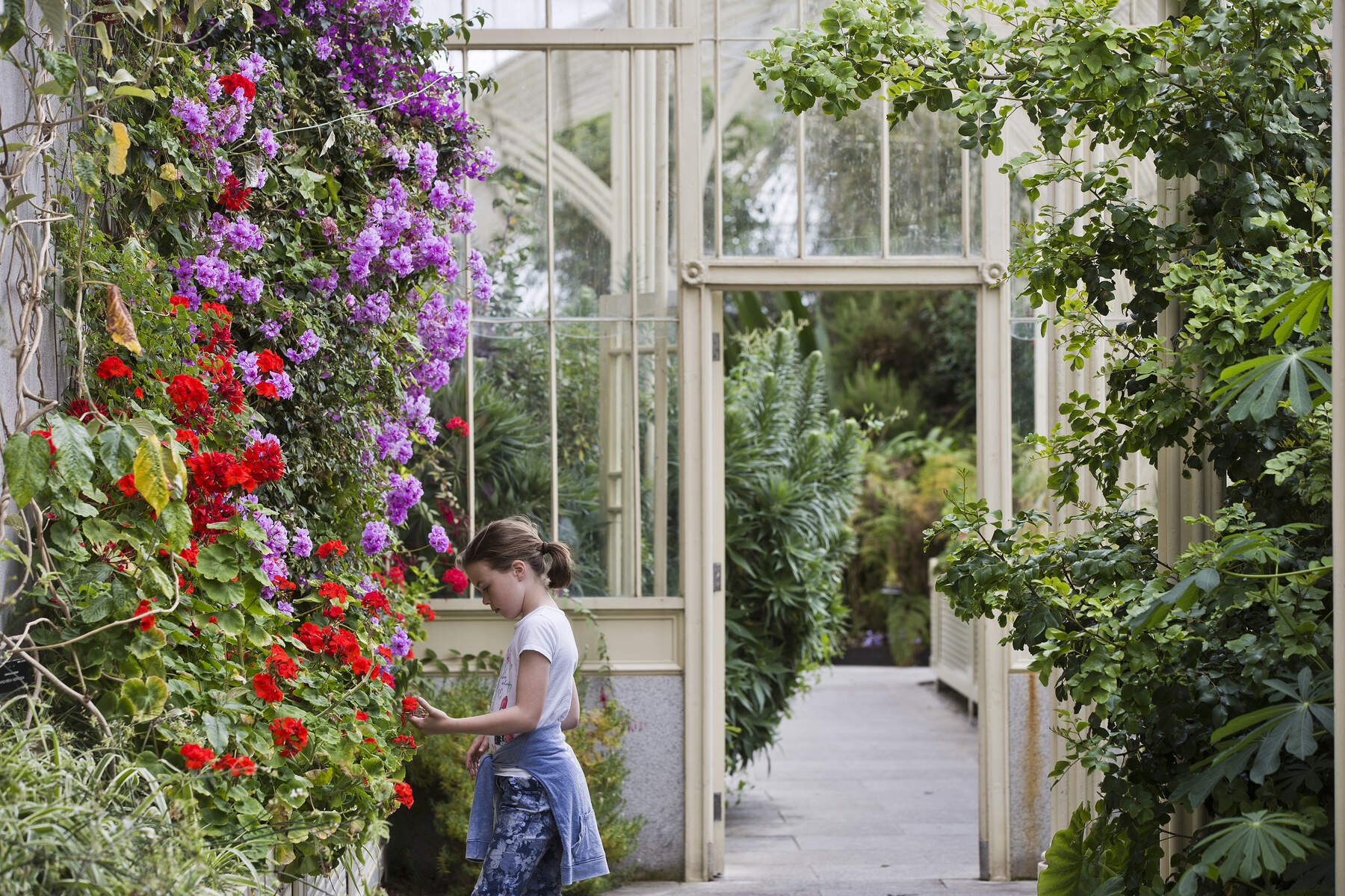 National Botanic Gardens