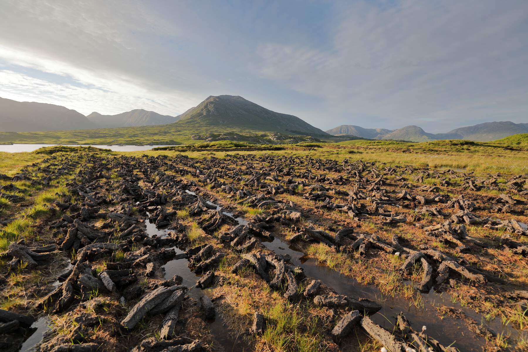 Tourbières dans le Connemara, Galway, Irlande, Wild Atlantic Way