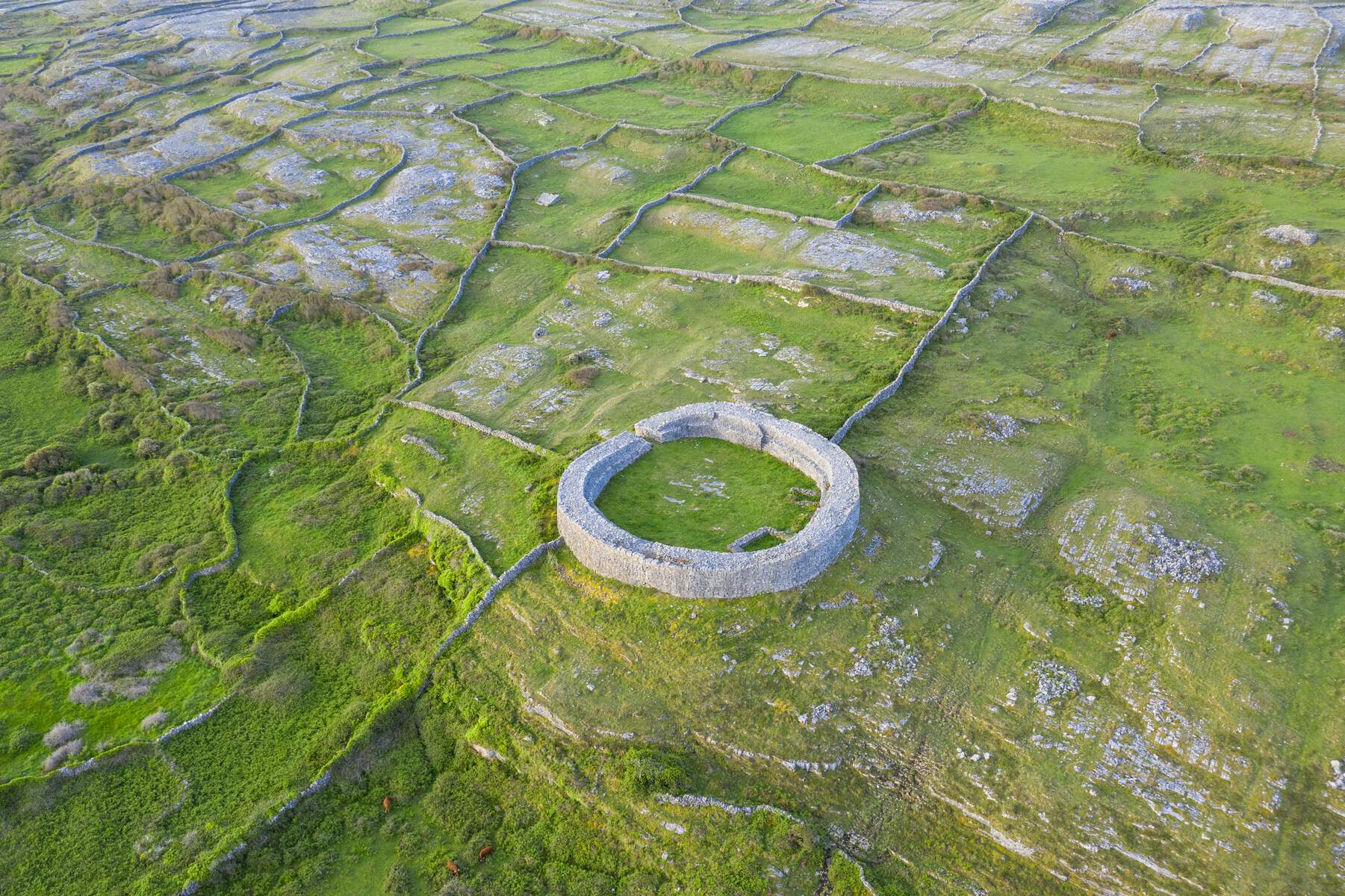 Dun Eoghanachta sur Inishmore, Aran, Galway, Irlande