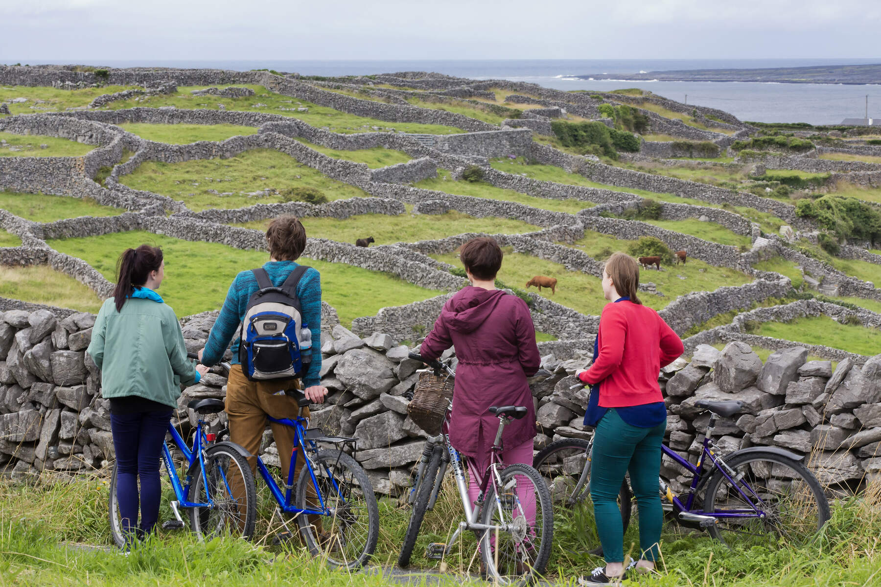 Murs de pierres sur Inisheer, Galway, Connemara, Irlande