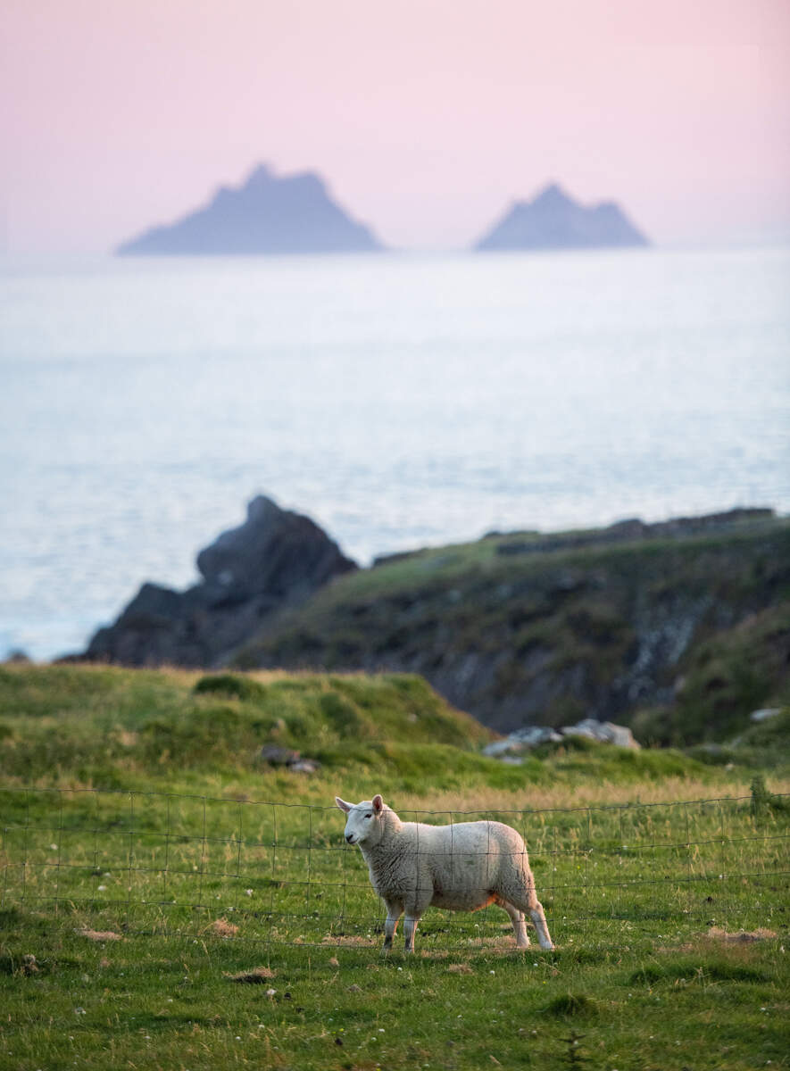 Ring of Kerry en Irlande