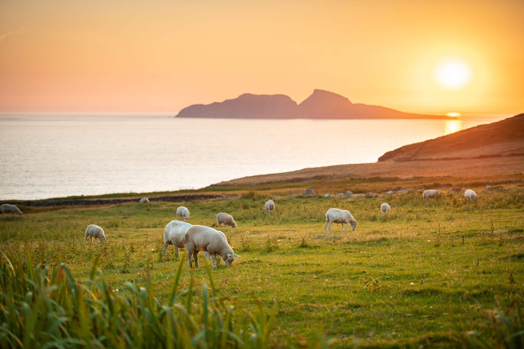 Skellig Ring en Irlande