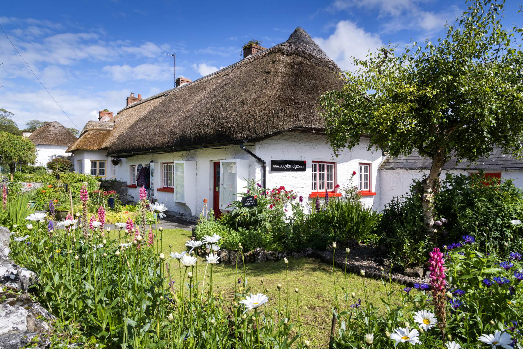 leclerc voyage cottage irlande