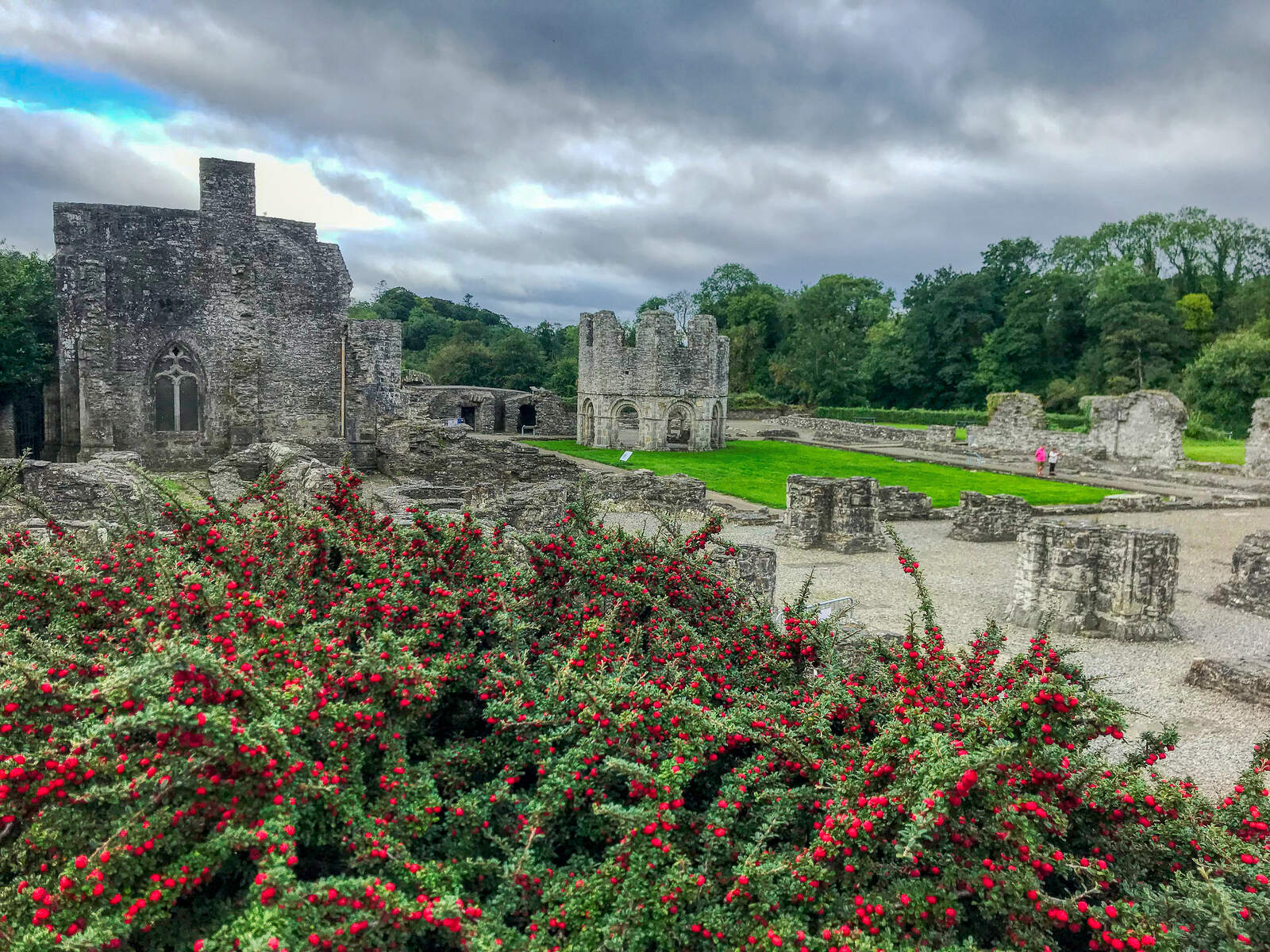 Abbaye de Mellifont, Vallée de la Boyne, Louth, Irlande Ancestrale