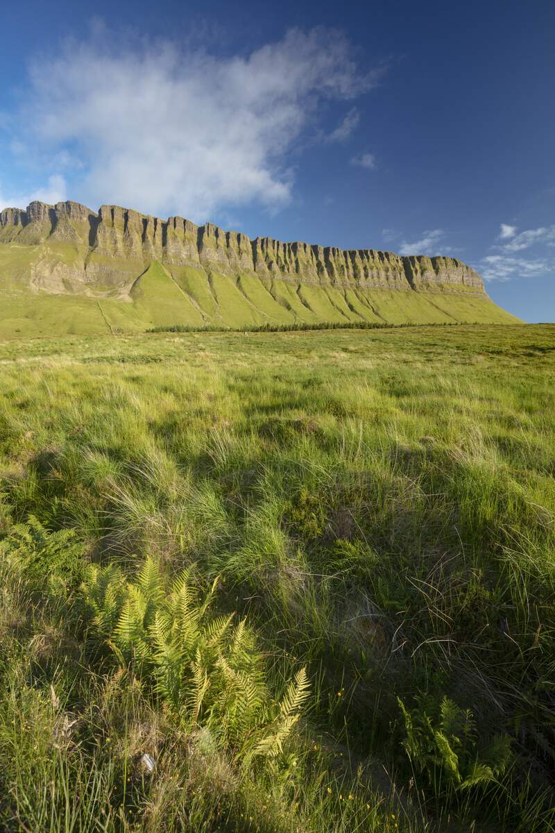 Benbulben dans le comté de Sligo