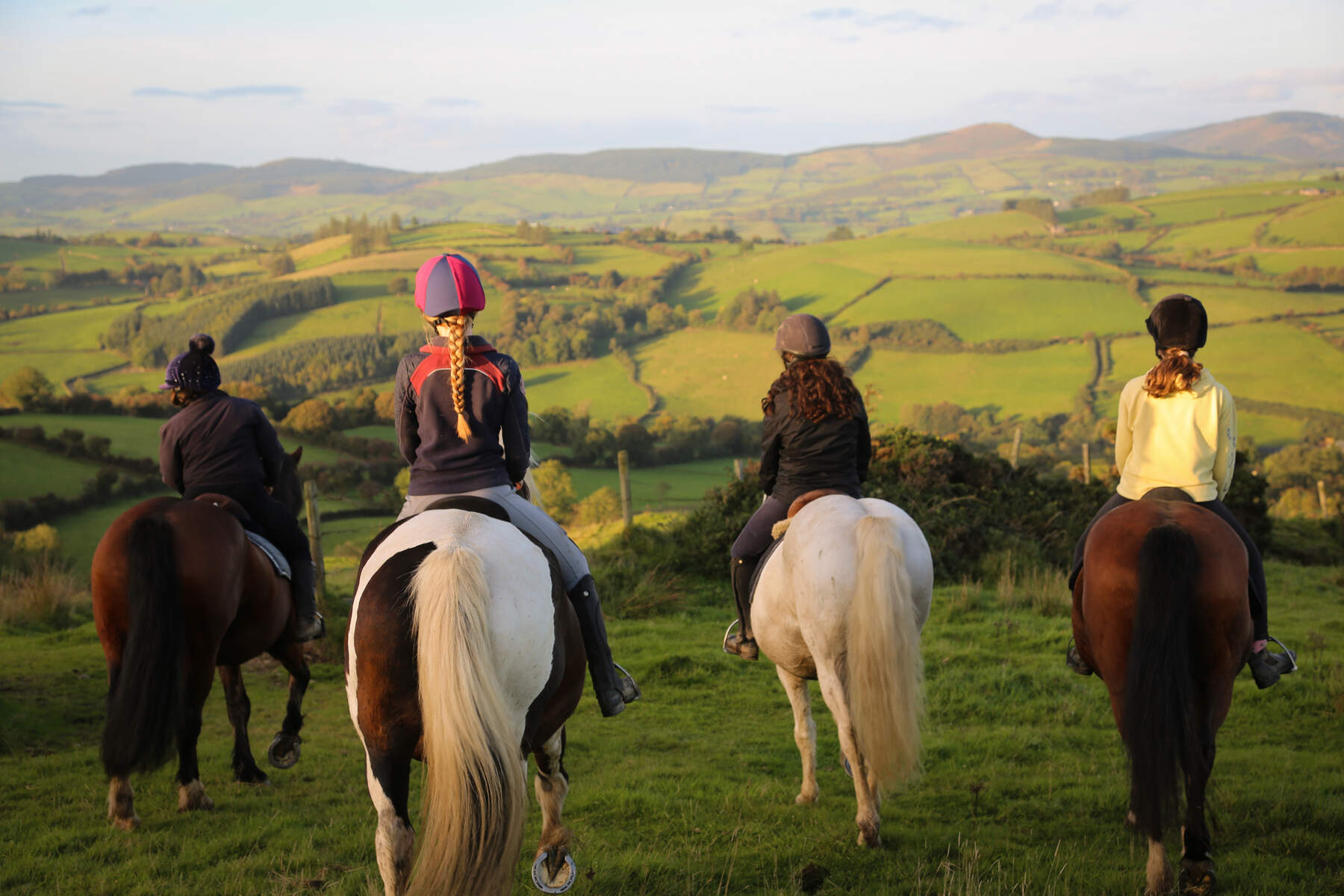 Balade à cheval dans le Tipperary en Irlande