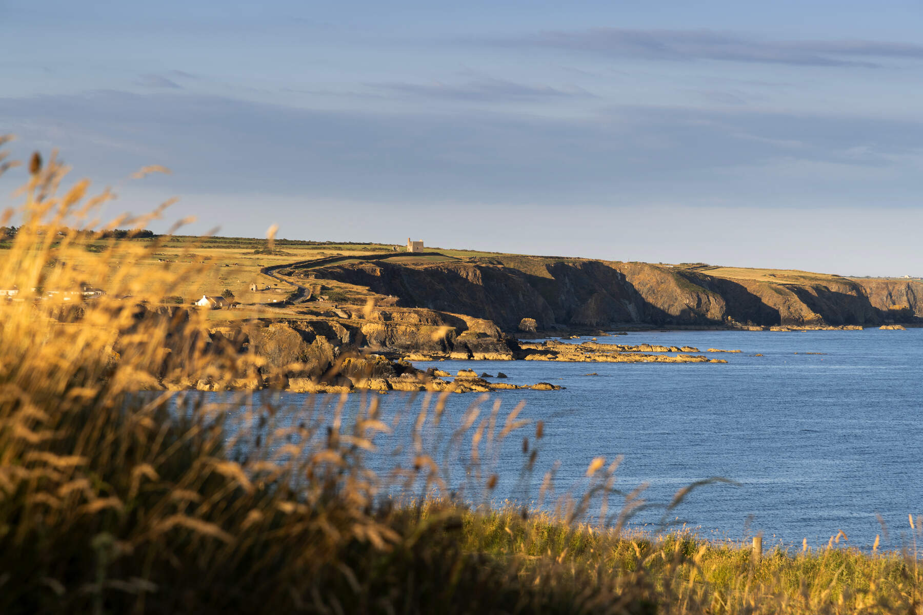 Trawnamoe Cove à Waterford