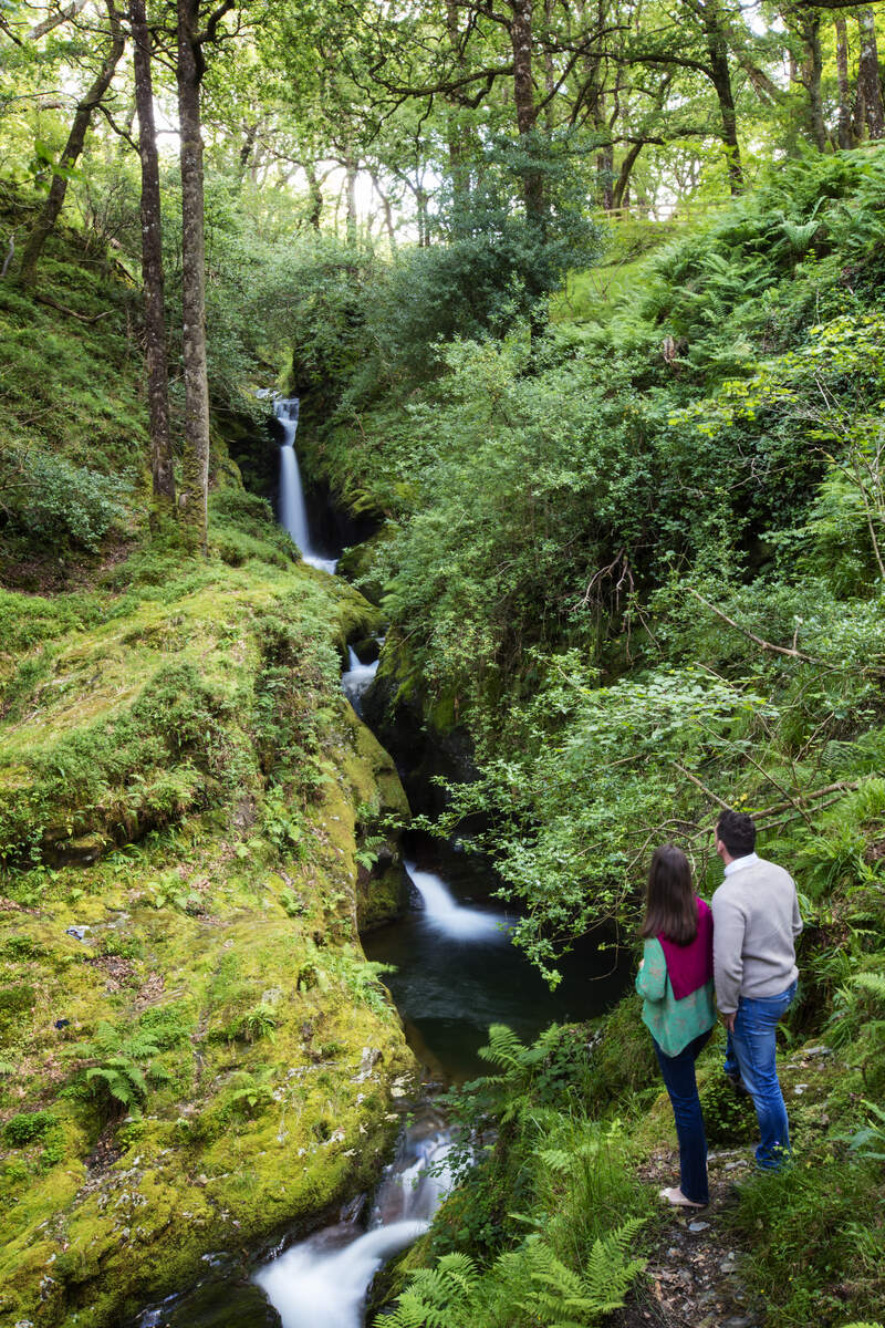 Cascade dans le Wicklow