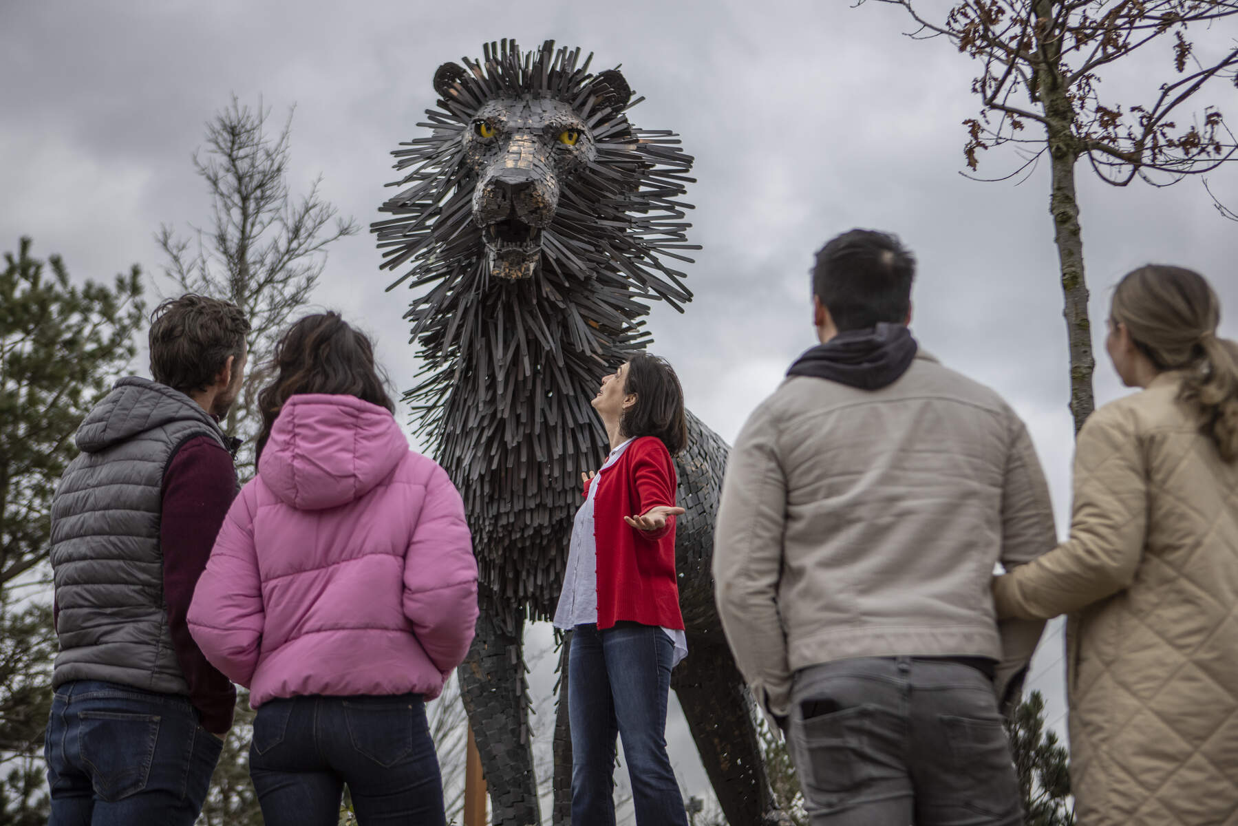 Visite guidée de Belfast en français