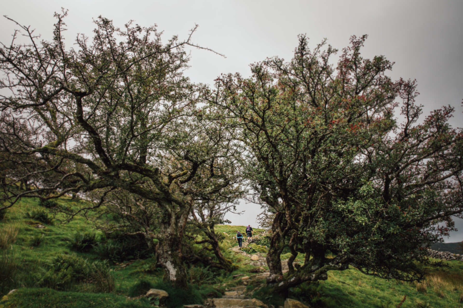 Cadair Idris au Pays de Galles