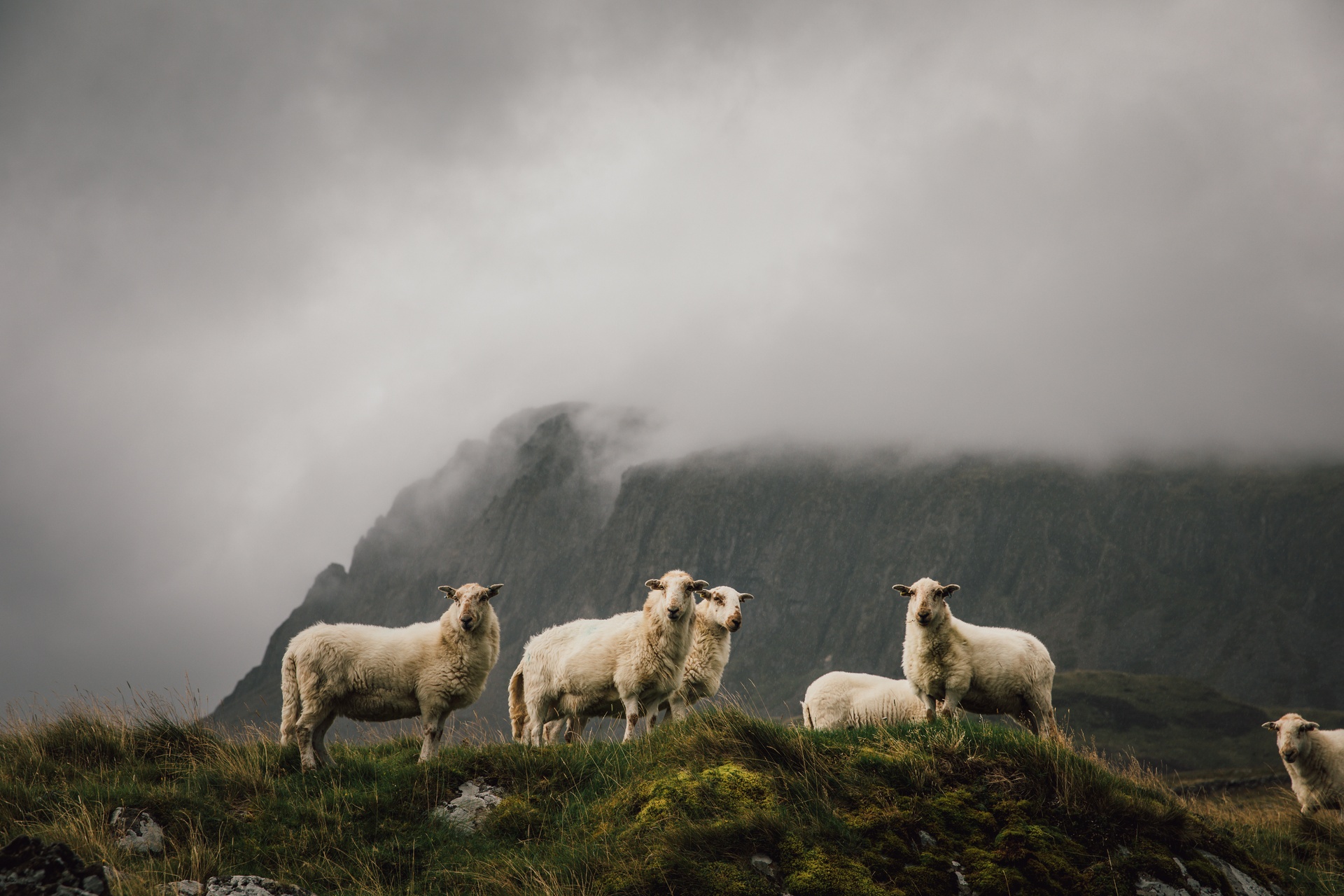 Snowdonia au Pays de Galles