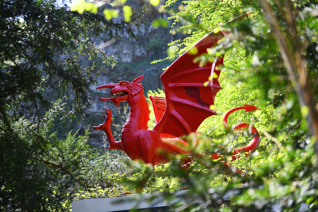 Dinosaur Park au Pays de Galles