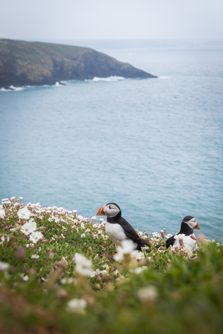 Pembrokeshire au Pays de Galles